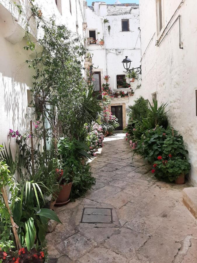 Casa Montanaro *